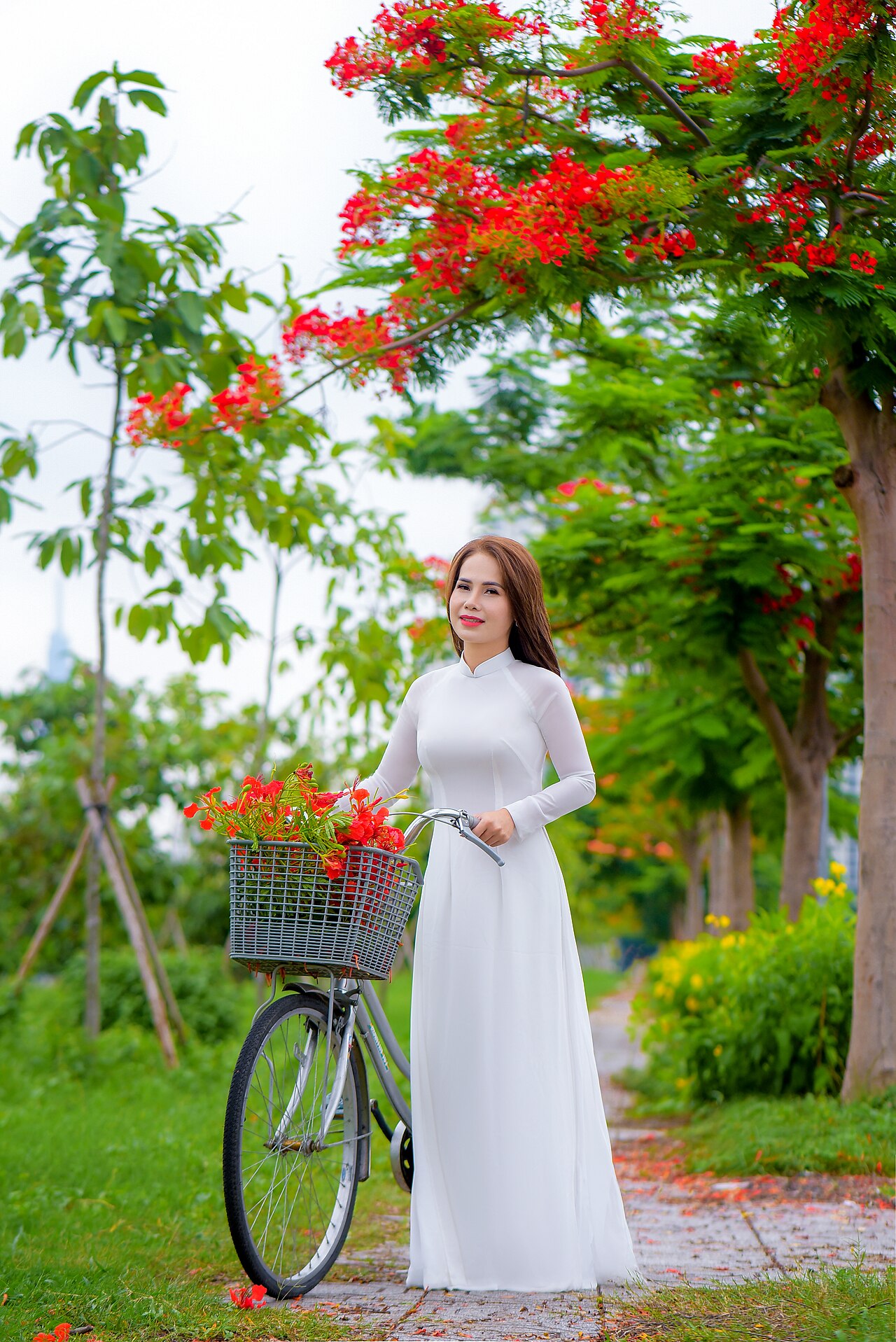 Áo dài trắng bên chiếc xe đạp
